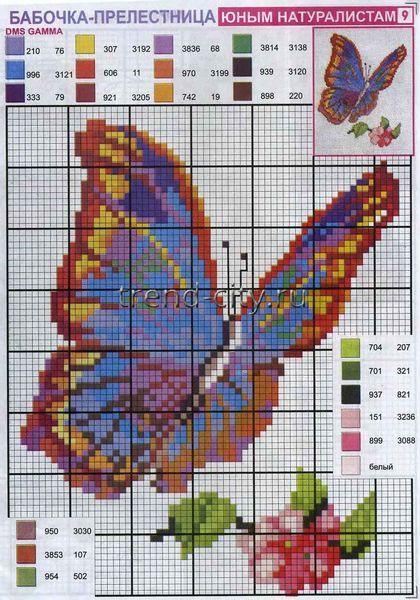 Схема вышивки крестом - Бабочка прелестница