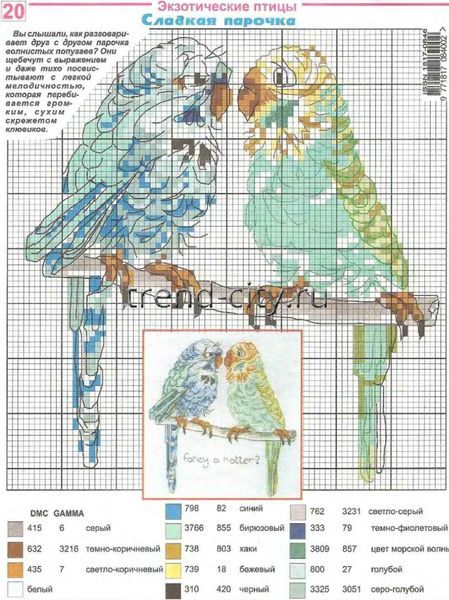 Схема вышивки крестом - Два попугая - сладка парочка