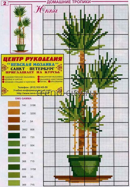 Схема вышивки крестом - Юкка