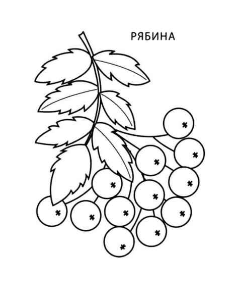 Рябинушка
