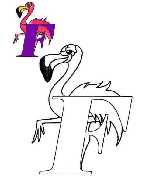 Буква F