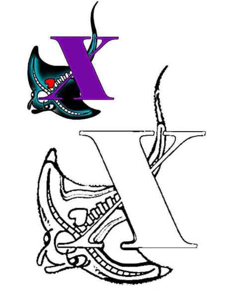 Буква X