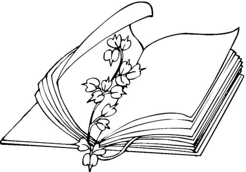 Книга