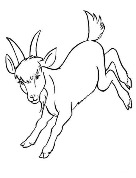 Козлик