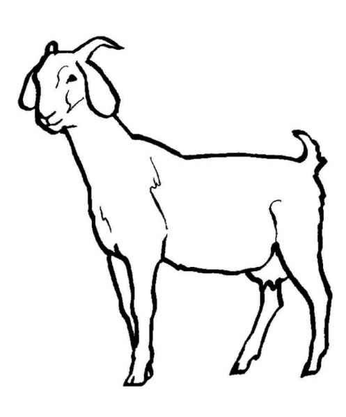 Козлик