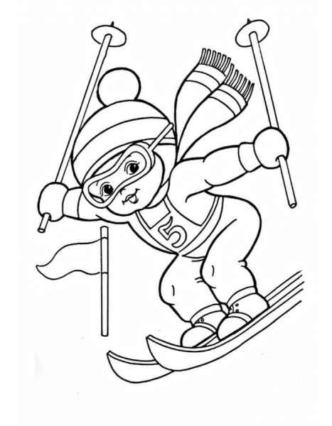 Зимний спорт