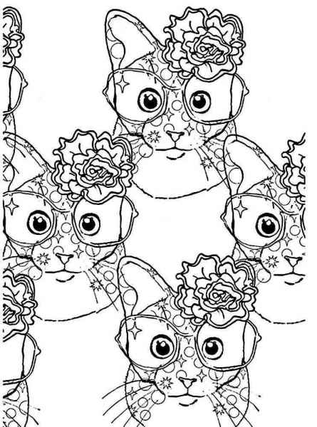 Кошки в очках