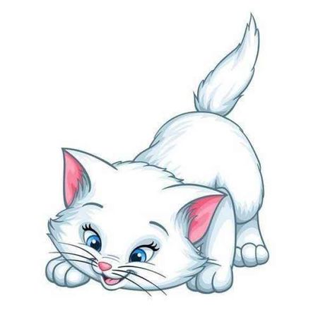 Игривый котик