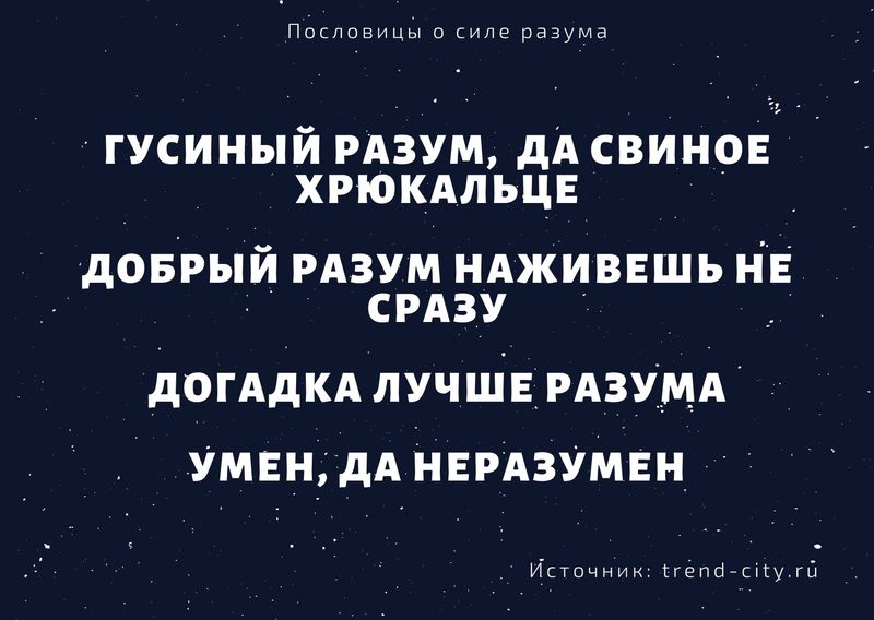 Пословицы о силе разума 11